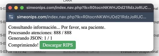 250331 rips json descarga